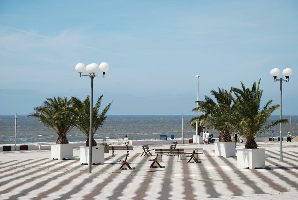 Sunnyzandvoort Dış mekan fotoğraf